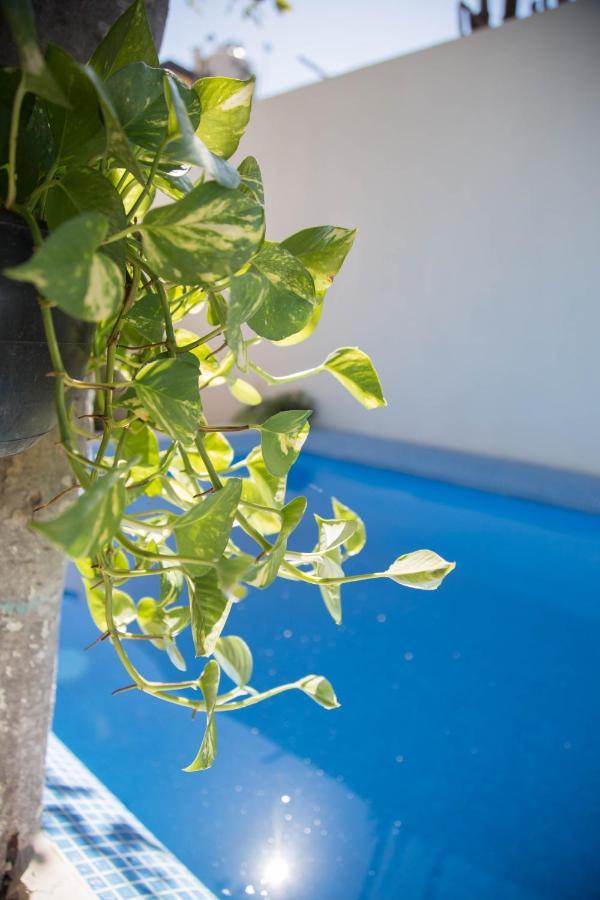 Apartament Casa Akasha Bacalar Zewnętrze zdjęcie